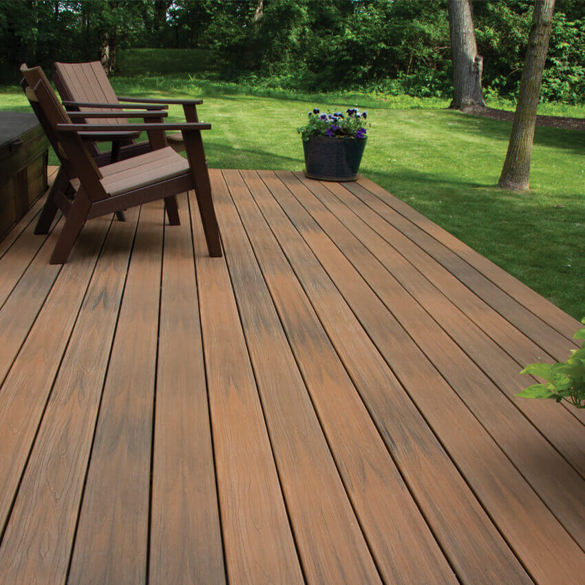 Spanish Cedar Scene