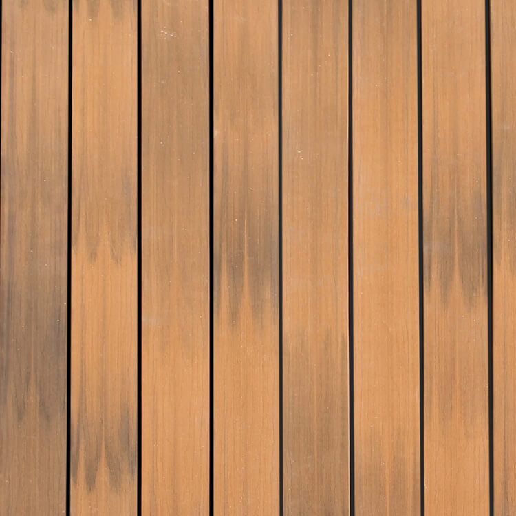 Spanish Cedar Scene