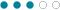 3 Circle Rating Icon