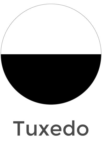 Tuxedo Color Swatch