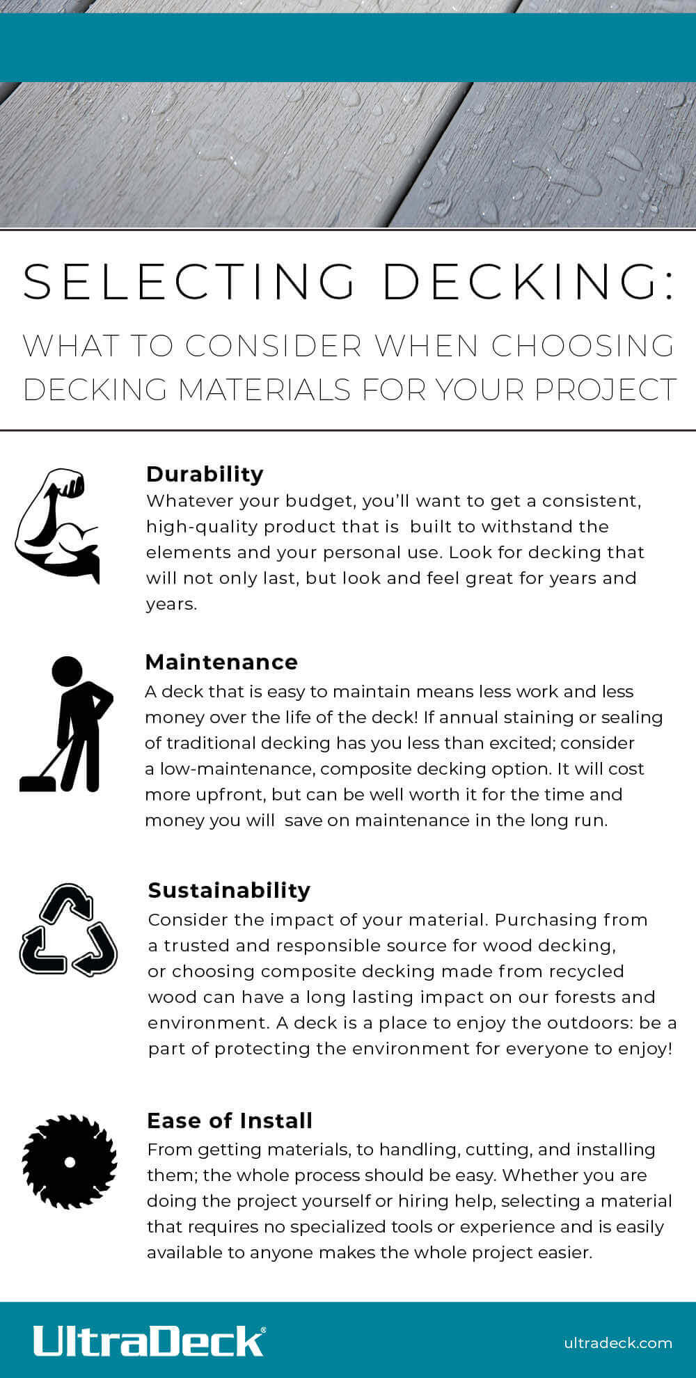 Infographic Large