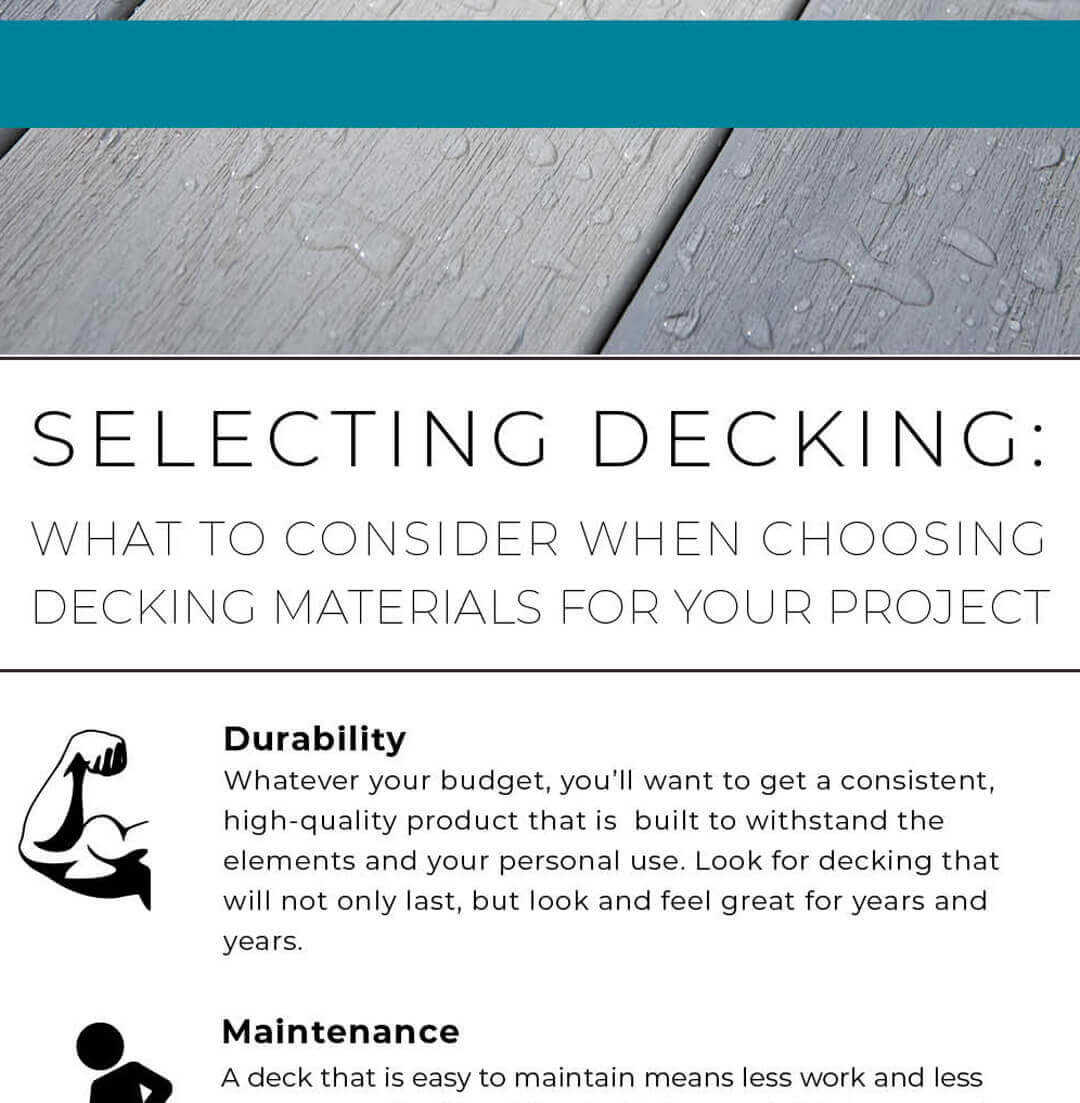 Infographic Thumbnail