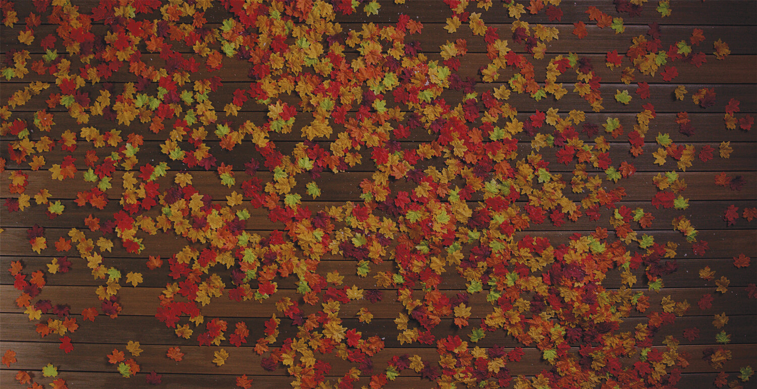 Fall Inspire From Above