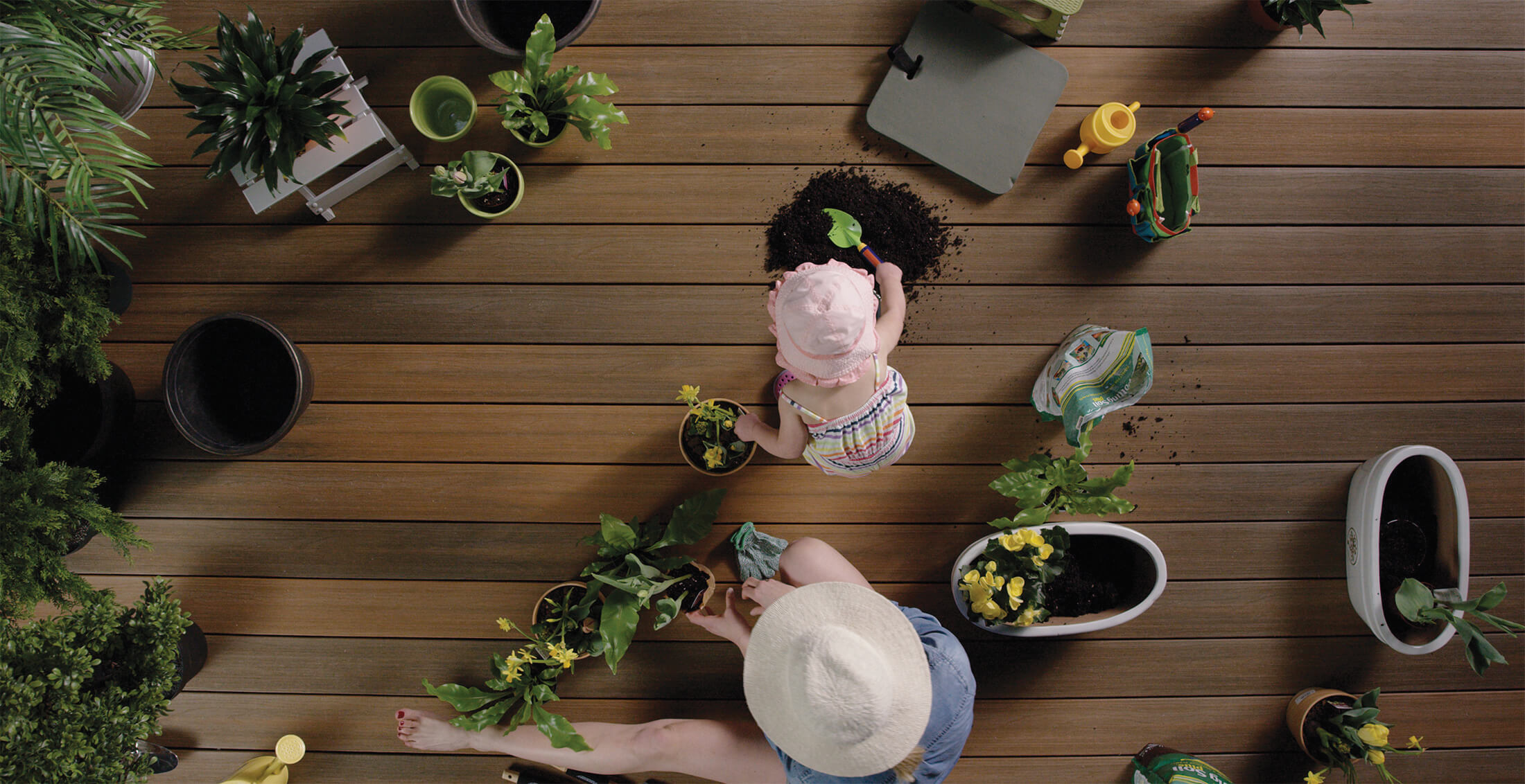 Spring Inspire From Above